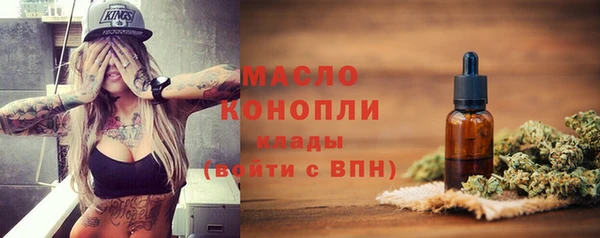 молекула духа Снежинск