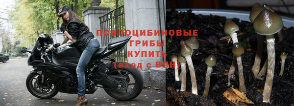 наркотики Баксан